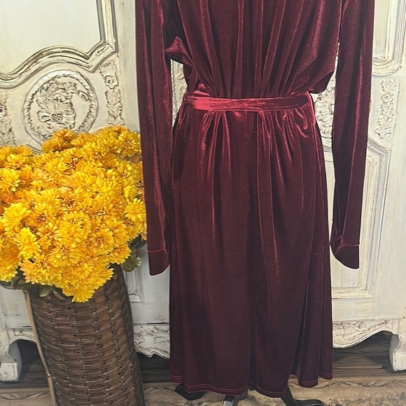 Elegant Velvet Robe in Rich Red Outer Wear or Lounging - Picture 10 of 13